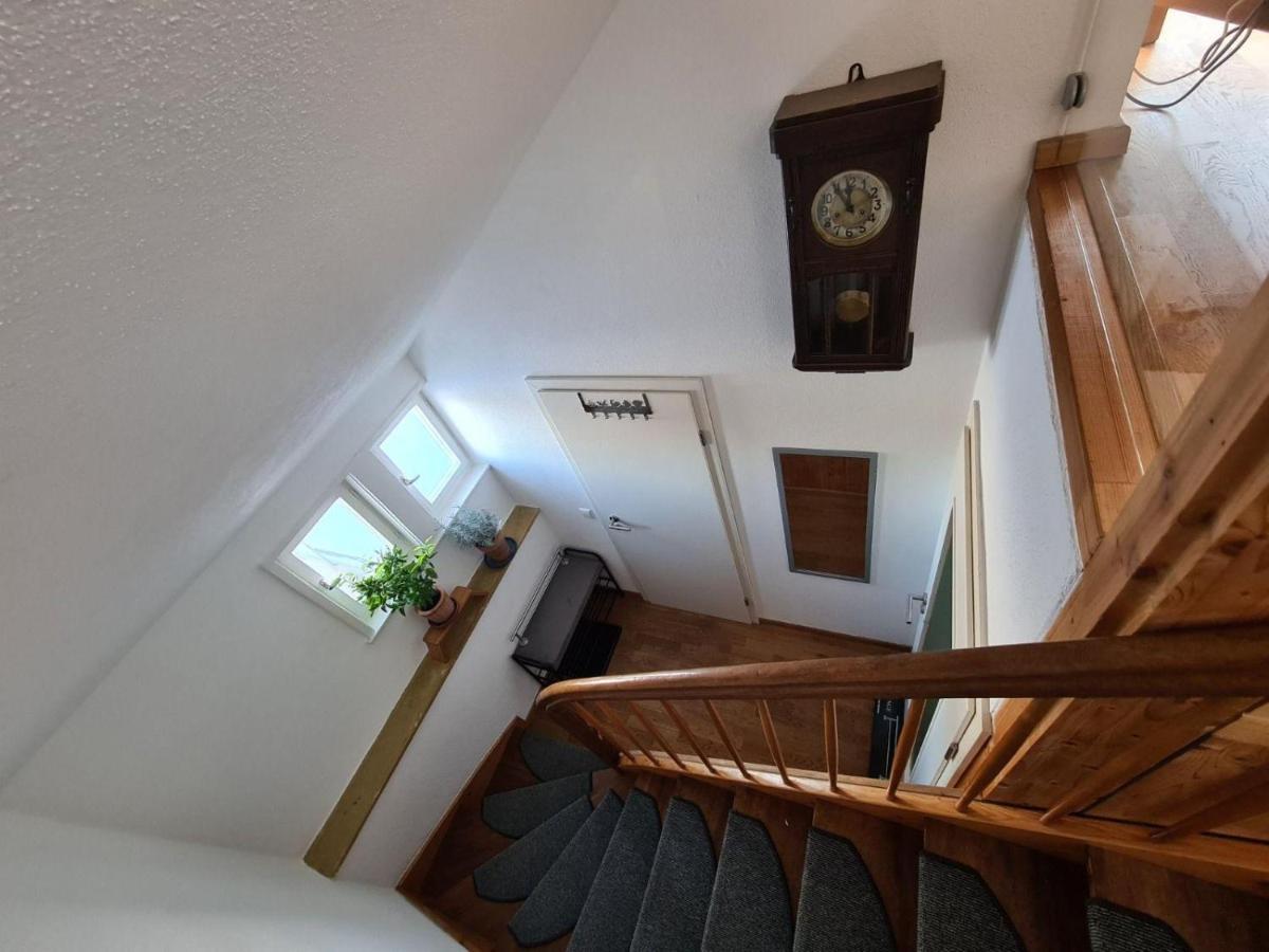 Ferienwohnung-rotmoosblick-direkt-am-rande-unberuehrter-natur Apartamento *