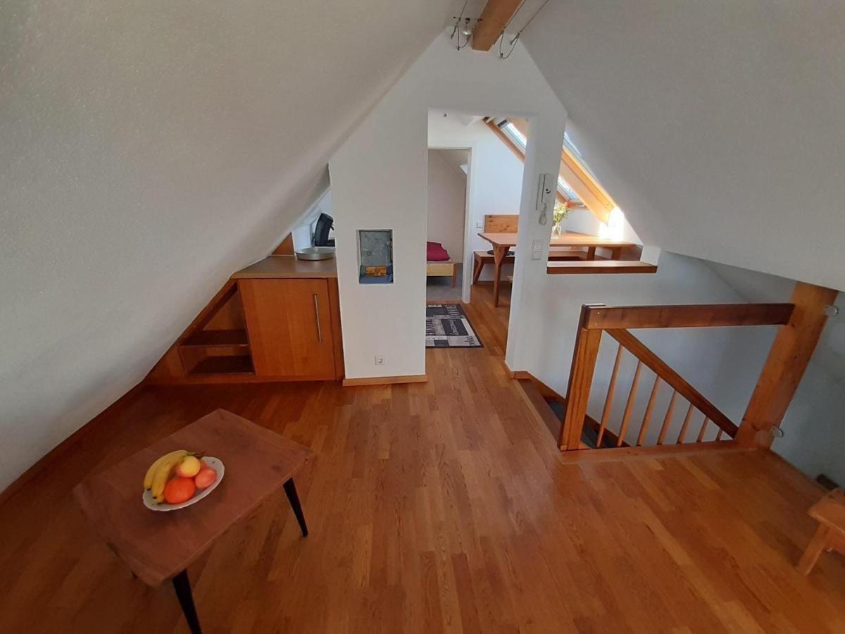 Ferienwohnung-rotmoosblick-direkt-am-rande-unberuehrter-natur *