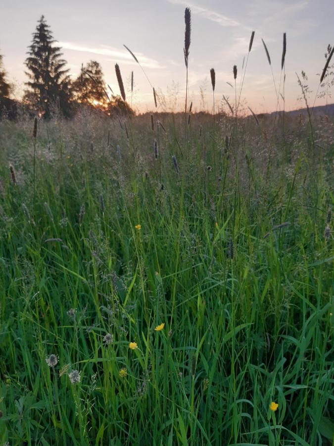 Ferienwohnung-rotmoosblick-direkt-am-rande-unberuehrter-natur Isny im Allgäu