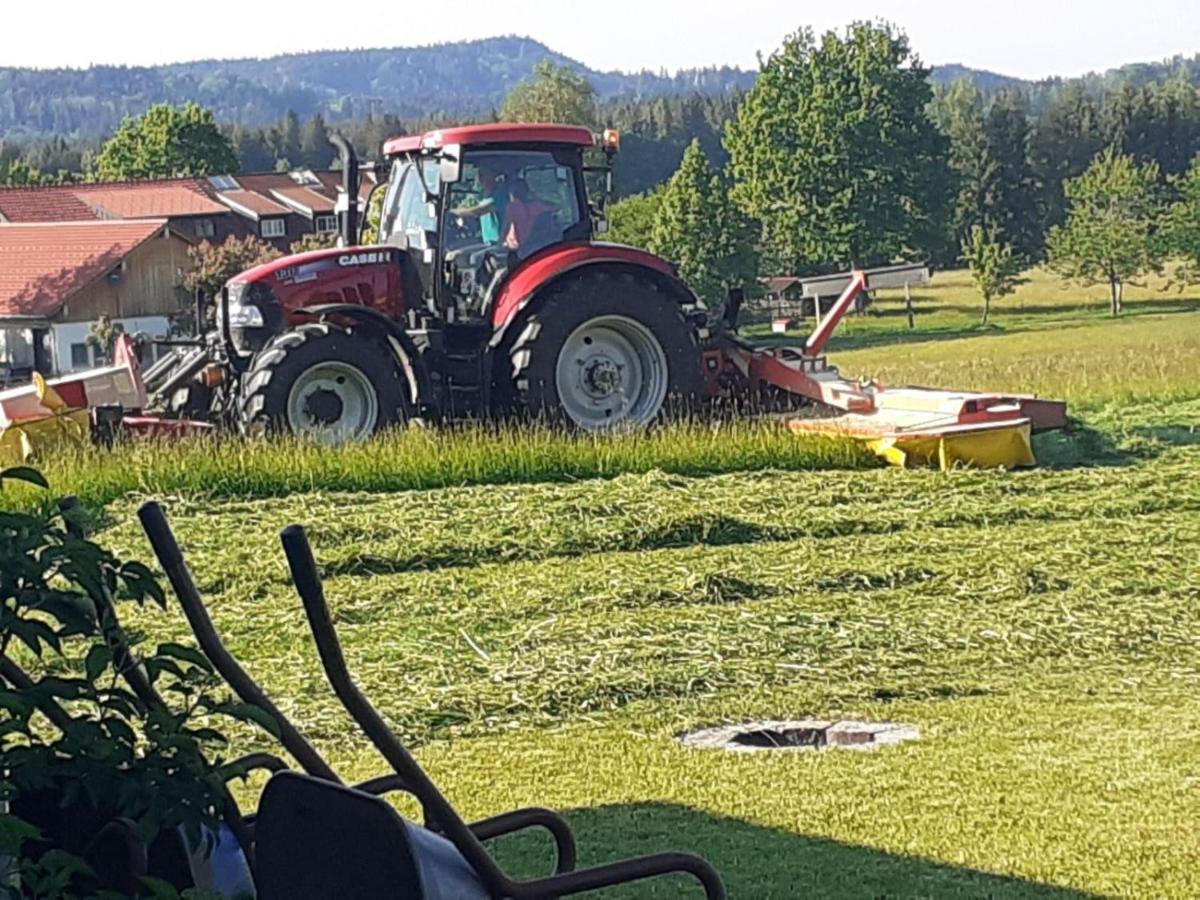 Ferienwohnung-rotmoosblick-direkt-am-rande-unberuehrter-natur Isny im Allgäu