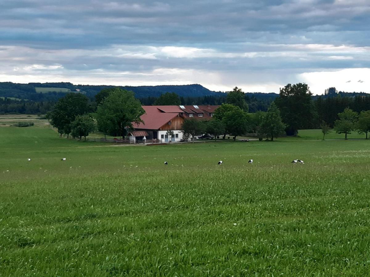 Apartment Rotmoosblick Direkt Am Rande Unberührter