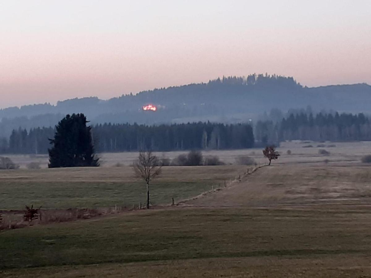 Ferienwohnung-rotmoosblick-direkt-am-rande-unberuehrter-natur *