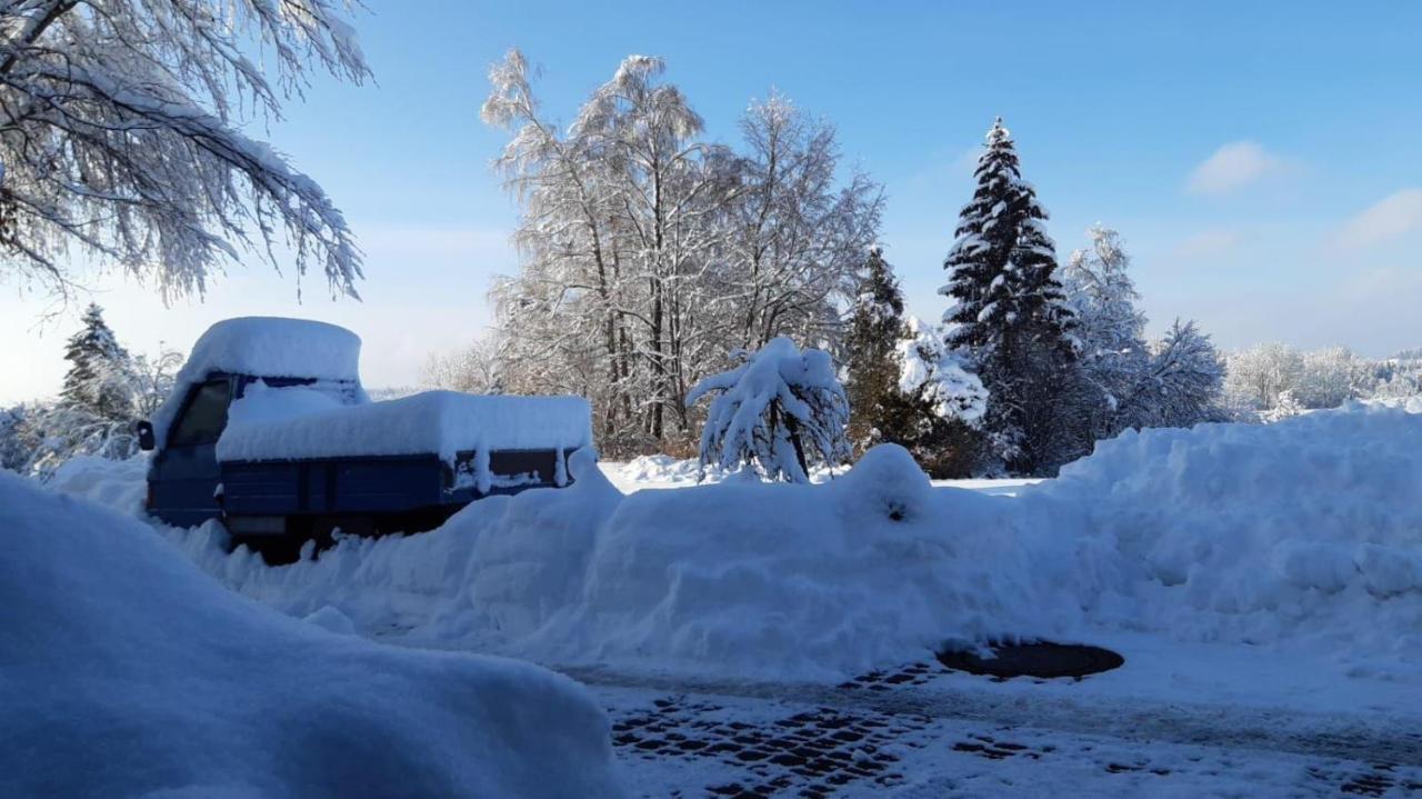 Ferienwohnung-rotmoosblick-direkt-am-rande-unberuehrter-natur