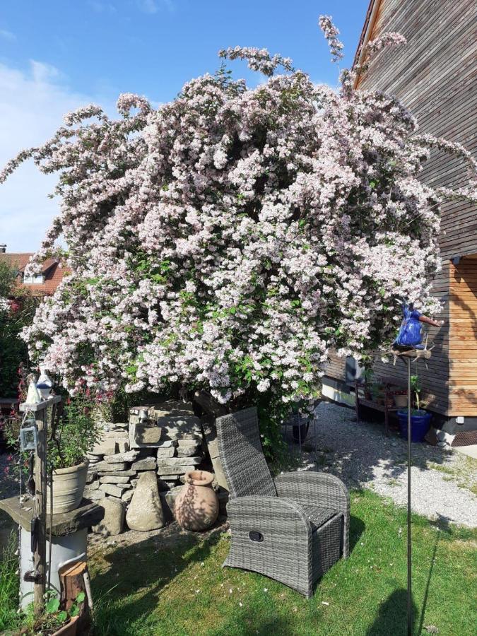 Ferienwohnung-rotmoosblick-direkt-am-rande-unberuehrter-natur Apartamento *
